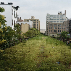 High Line New-York