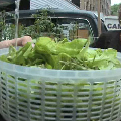 Truck Farm le camion ferme