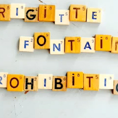 Brigitte Fontaine Prohibition nouvel album