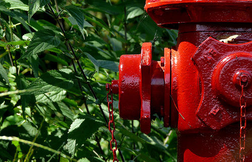 red water Stéphanie Schoene