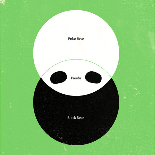 Naissance d'un panda