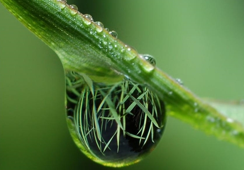 goutte d'eau