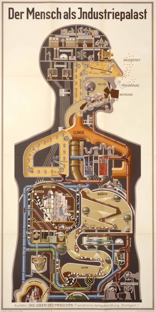 machine du corps humain