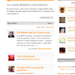 Buddypress transforme Wordpress en réseau social