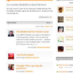 Photo : Buddypress transforme Wordpress en réseau social