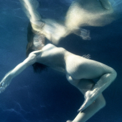 Zena Holloway photographe sous-marin