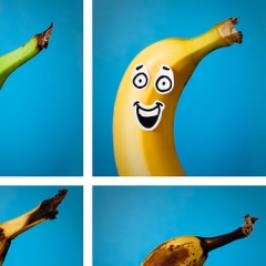 Photo : Vie d'une banane