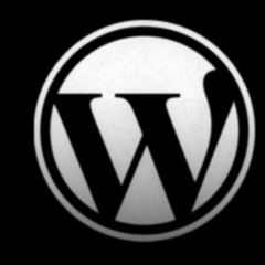 Comment maîtriser Wordpress ?