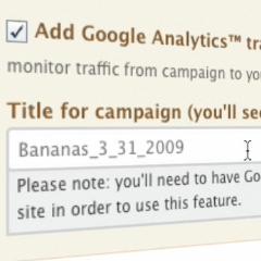 Google Analytics API !