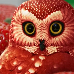 Photo : Chouette à la fraise
