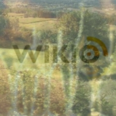 Photo : Wikio : champagne ou campagne ?