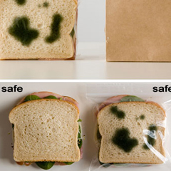 Antivol pour sandwich !