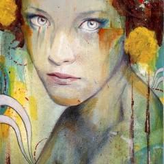 Michael Shapcott