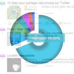 Photo : Exclu : classement Wikio Multithématique novembre 2010