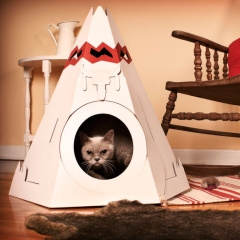 Tipi pour chat