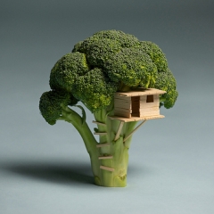 Maison Brocoli