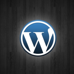 Wordpress : un ami qui vous veut du bien ?