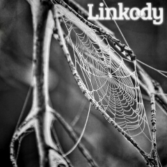 Linkody veille sur votre linking