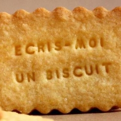 Shanty Biscuits