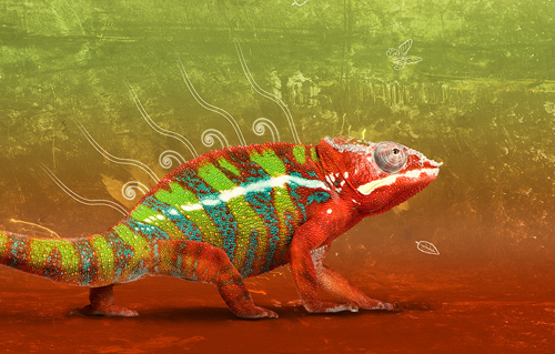 fond d'écran caméléon