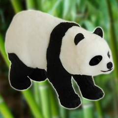 Photo : Clé USB panda WWF