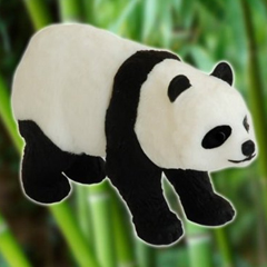 Clé USB panda WWF