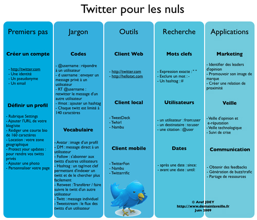 Twitter pour les nuls : image