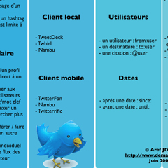 Photo : Twitter pour les nuls