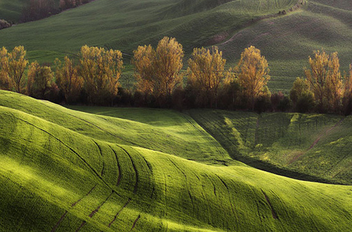 Marcin Sacha
