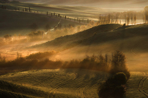 Marcin Sacha