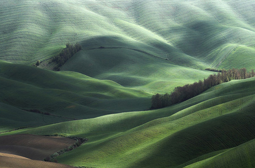 Marcin Sacha