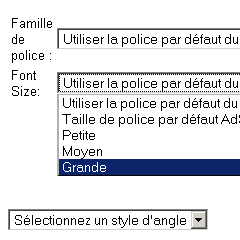 Taille de police Adsense