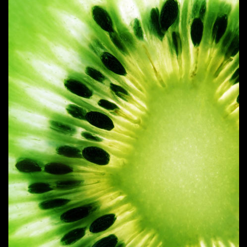 Toile imprimée Kiwi
