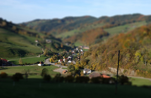 campagne réelle !