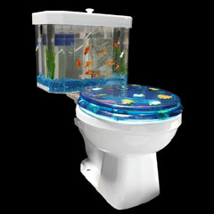 Photo : Toilettes aquarium