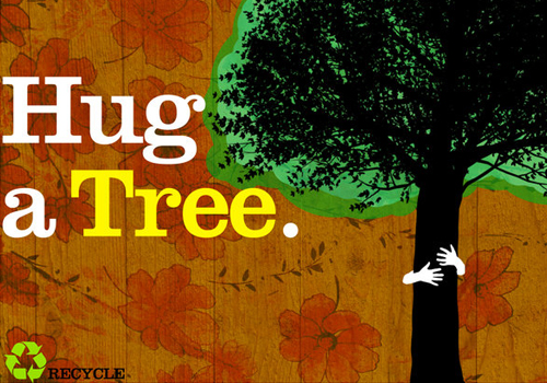 Hug A Tree