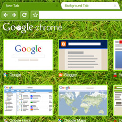 Thèmes Google Chrome