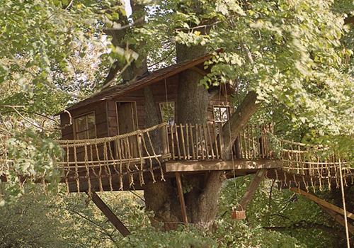 Maison dans les arbres