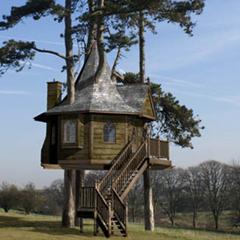 Maison dans les arbres