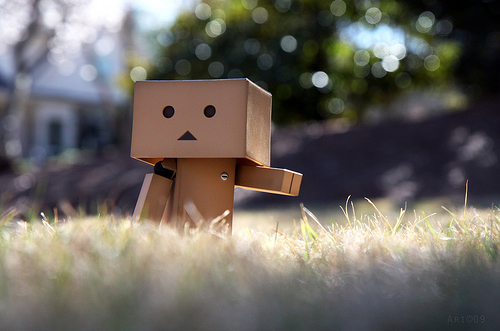Danboard : par ici