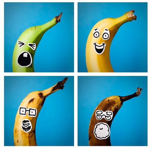 photos de la vie d'une banane