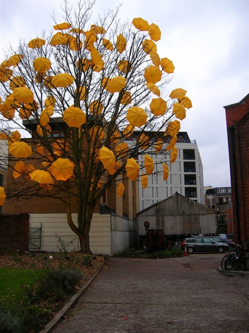 photo de l'arbre Happy bloom