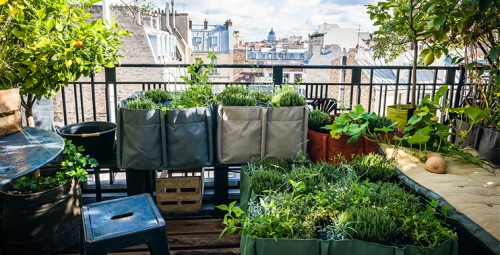 Photo de sacs Bacsac sur un balcon en ville