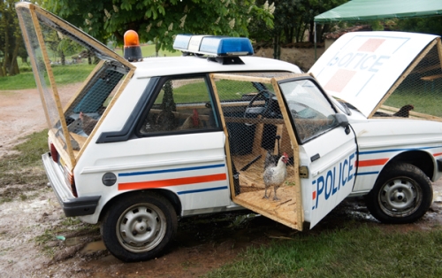 Voiture de police poulailler Benedetto Bufalino