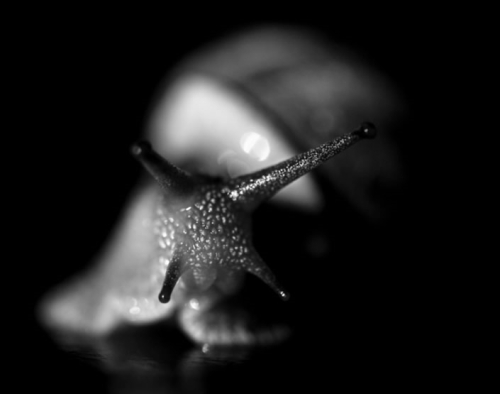 photo par Benoit Courti
