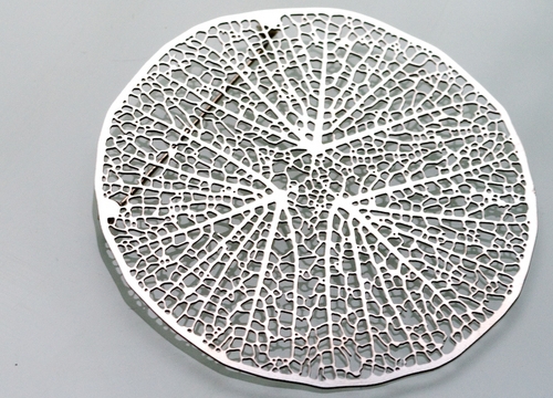 photo bijoux nervures : Xylem