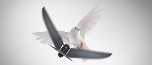 Oiseau drone Bionic Bird : photo