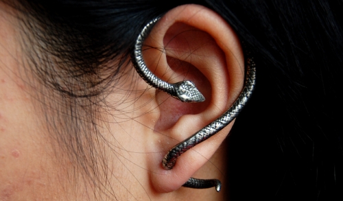 photo boucles d'oreilles serpent