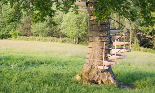 Escalier dans un arbre CanopyStair