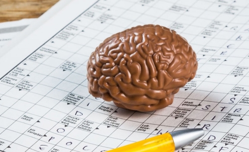 Cerveau en chocolat